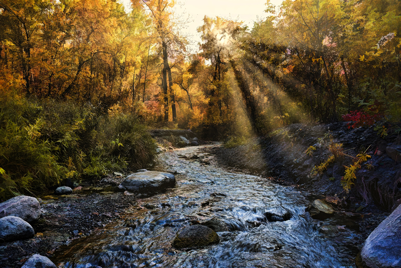Late  Afternoon by Pat Stone
